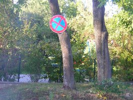 Halte- und Parkverbot