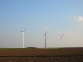 Windräder im Marchfeld
