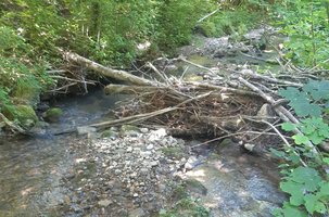 Wildbach Dokumentation 2