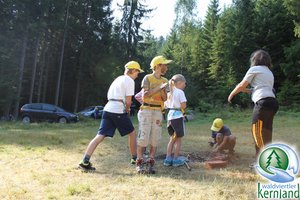 Wildnis Wissen