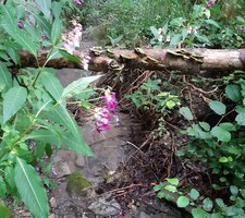 Wildbach Dokumentation 1